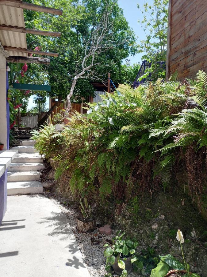 Mi Cuartito En Bacalar Apartment Ngoại thất bức ảnh