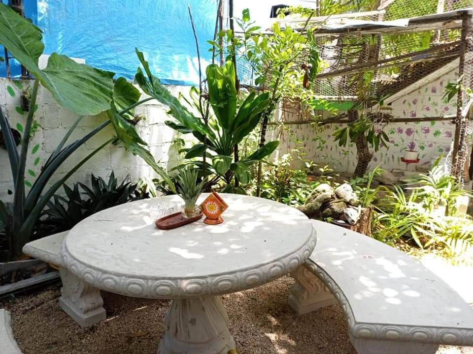 Mi Cuartito En Bacalar Apartment Ngoại thất bức ảnh